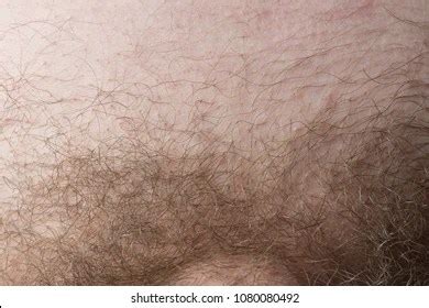 nude pubic hair|pubic